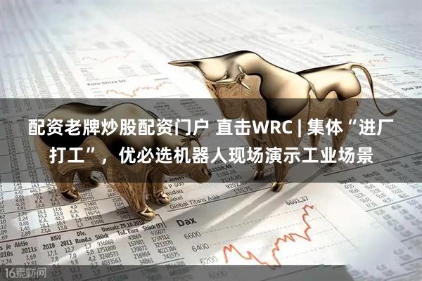 配资老牌炒股配资门户 直击WRC | 集体“进厂打工”，优必选机器人现场演示工业场景