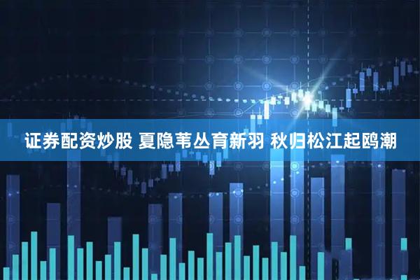 证券配资炒股 夏隐苇丛育新羽 秋归松江起鸥潮