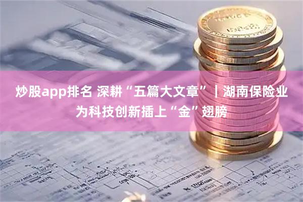 炒股app排名 深耕“五篇大文章”｜湖南保险业为科技创新插上“金”翅膀