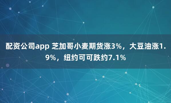 配资公司app 芝加哥小麦期货涨3%，大豆油涨1.9%，纽约可可跌约7.1%
