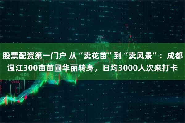 股票配资第一门户 从“卖花苗”到“卖风景”:成都温江300亩苗圃华丽转身,日均3000人次来打卡